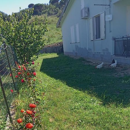 Villetta San Giovanni Calatafimi Exterior photo